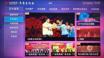 胶州最新爆料事件视频大全